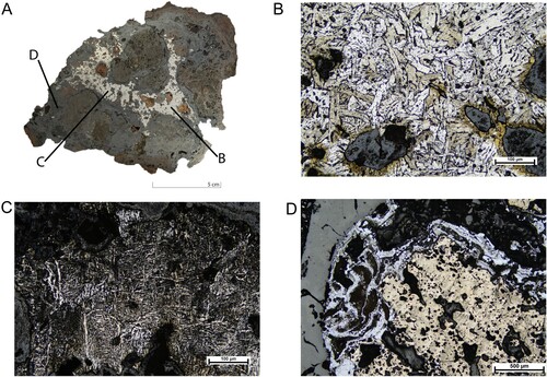 Figure 6. Photograph and microphotograph of a sample with a large metallic band (A). The sample is etched with 2% nital. The microstructure of this specimen is characterized by the occurrence of a large amount of iron spread throughout the sample. The letters on the photograph indicate the following photomicrographs. In (B) and (C), the uneven distribution of ferrite iron with pearlite grains within one sample can be observed. (D) presents a partial melting structure with traces of coal.