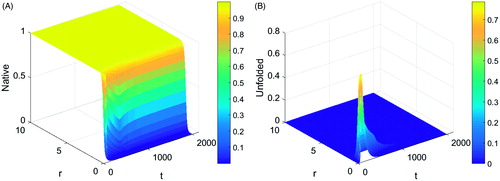 Figure 3. Plot of protein proportion in its (A) native and (B) unfolded state during a typical thermal ablation temperature distribution.