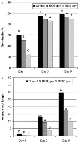 Figure 3.  Effect of different dilutions of the plant extract and incubation period interaction on (A) percentage of germination of radish seeds, and (B) radish seedling root length.
