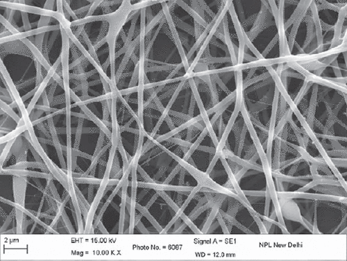 Figure 2. PVA 10% drug-loaded nanofiber.