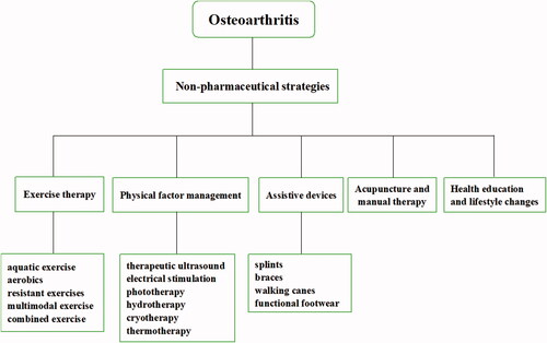 Figure 3. Non-pharmaceutical strategies of OA.