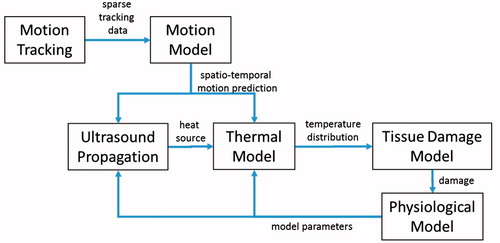 Figure 2. Overview of the interactions and data flows between the different models. Motion tracking data is fed into the motion model. Spatio-temporal motion predictions are recurrently fetched from the motion model and are used as a basis for the ultrasound propagation model and the thermal model. The ultrasound model computes the local heat source that is fed into the thermal model. Successively, the temperature distribution in the patient deforming during respiration is computed by the thermal model which constitutes the basis for the computation of a damage map by the tissue damage model. The physiological model adjusts based on the tissue damage the parameter values representing the patient status.
