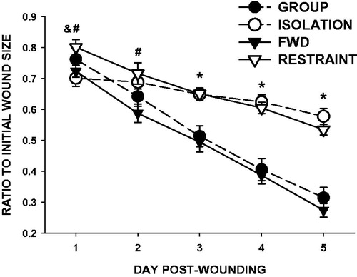 Figure 2. Social isolation and restraint comparably impair dermal wound closure. Three weeks of social isolation (open circles) reduced wound closure (relative to initial wound area) compared with group-housed controls (closed circles) on Days 3–5 post-wounding. Daily 12-h restraint (open triangles) 3 days prior and throughout wound healing decreased wound closure compared with food- and water-deprived controls (closed triangles) on Days 1–5 post-wounding. n = 15/group; #p < 0.05 for FWD versus RESTRAINT, *p < 0.001 for both stress groups versus respective controls, &p < 0.05 RESTRAINT versus ISOLATION.