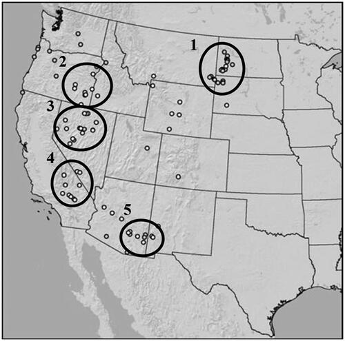 Figure 1. Modified from Van Gosen et al. (Citation2013), this figure depicts the approximate locations of natural erionite from Sheppard (Citation1996) and Van Gosen et al. (Citation2013). (1) The Killdeer Mountain area, North and South Dakota; (2) Rome, Oregon; (3) Lander County, Nevada; (4) San Bernardino County, California; (5) Bowie, Arizona.