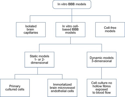 Figure 4 In vitro cell culture models for the studies on drug and NP transport through the BBB.Note: Reprinted from Adv Drug Deliv Rev, 64(7), Wong HL, Wu XY, Bendayan R. Nanotechnological advances for the delivery of CNS therapeutics. 686–700., Copyright (2012), with permission from Elsevier.Citation103Abbreviations: NP, nanoparticle; BBB, blood–brain barrier.