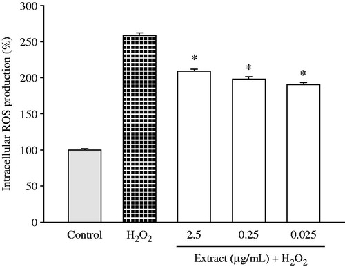 Figure 4. Protective effect of Haplophyllum tuberculatum ethanol extract against H2O2-induced intracellular ROS production. U373-MG cells were treated with plant extract (0.025, 0.25 and 0.025 µg/mL) for 24 h, prior to 1 mM H2O2 exposure (30 min). Results were expressed as a mean of the percentage of control cells (100%) ± standard deviation (S.D.). *p < 0.05 versus H2O2.