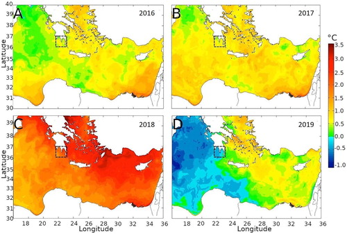 Figure 4.5.2. Sea surface temperature anomaly (°C) based on a pentad climatology for May 2016 (a), May 2017 (b), May 2018 (c), and May 2019 (d). The dotted square indicates the Mani Peninsula target area.