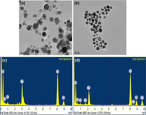 Figure 2. TEM image of spherically shaped silver nanoparticles (a) and gold nanoparticles (b). EDX spectra of silver nanoparticles (c) and gold nanoparticles (d), respectively.