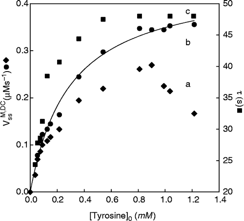 Figure 3 Representation of the rate of tyrosinase acting on L-tyrosine (), and of the lag period (τ) with different substrate concentrations. [E]0 = 45 nM, • Values of obtained in the true steady-state. ▴ Rate values obtained considering the increase in absorbance at a fixed time from beginning of reaction, three min. ▪ Values of lag period.