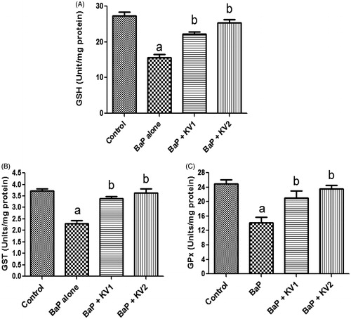 Figure 5. Effect of Kolaviron on glutathione (GSH) level and activities glutathione peroxidase (GPx) and glutathione S-transferase (GST) in kidneys of B[a]P-treated rats. KV1, 100 mg/kg Kolaviron; KV2, 200 mg/kg Kolaviron. Each bar represents mean ± SD of 10 rats per group after 15 d treatment period. a: p < 0.05 against control. b: p < 0.05 against B[a]P.