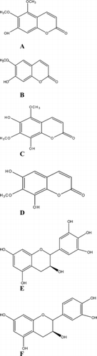 Figure 1 Coumarins and tannins isolated from butanol root fraction of P. sidoides.. (A) Umckalin; (B) scopoletin; (C) 6,8-dihydroxy-5,7-dimethoxy-2H.-benzopyran-2-one; (D) 6,8-dihydroxy-7-methoxy-2H.-benzopyran-2-one; (E) epigallocatechin; (F) catechin.