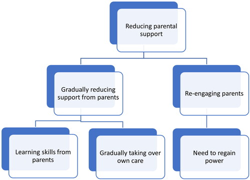 Figure 1. Tentative categories building up to the category reducing parental support.