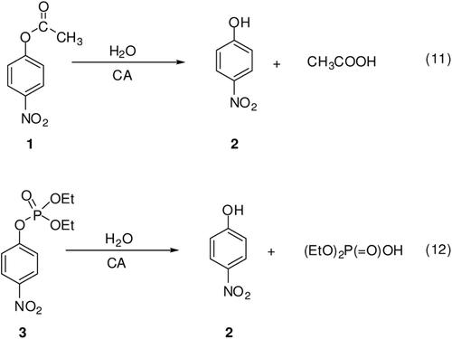 Scheme 2.  Reactions 11 and 12 catalyzed by α-CAs: 4-nitrophenyl acetate/phosphate hydrolysisCitation18.