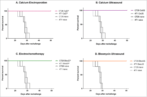 Figure 2. Survival curves after re-challenge. Surviving mice and naïve mice were re-challenged with the same tumor cell type (CT26) or a different tumor cell type (4T1) and observed for 50 d after inoculation. CT26 CaEP /4T1 CaEp = mice treated with calcium electroporation, inoculated with CT26 and 4T1, respectively; CT26 CaUS/4T1 CaUS = mice treated with calcium ultrasound, inoculated with CT26 and 4T1, respectively; CT26 BleoEP/4T1 BleoEP = mice treated with electrochemotherapy, inoculated with CT26 and 4T1, respectively; CT26 BleoUS/4T1 BleoUS = mice treated with bleomycin ultrasound, inoculated with CT26 and 4T1, respectively; CT26 naïve/4T1 naïve = naïve mice inoculated with CT26 and 4T1, respectively. N = 5 in each group. (A) Calcium electroporation compared with control groups, p = 0.004–0.008 (B) Calcium ultrasound compared with control groups, p = 0.006–0.008 (C) electrochemotherapy compared with control groups, p = 0.004–0.009 (D) Bleomycin ultrasound compared with control groups, p = 0.002–0.007.