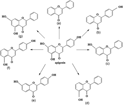 Figure 3. Apigenin derivatives and natural analogues.[Citation29]
