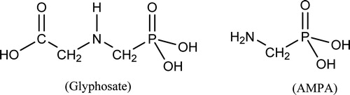 Figure 1. Chemical structures of glyphosate and AMPA. Glyphosate: N-(phosphonomethyl)glycine, acid form, CAS 1071-83-6; AMPA: aminomethylphosphonic acid; CAS 1066-51-9.