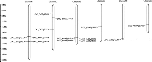 Figure 1. Chromosomal distribution of rice OsCYPs in the rice genome. The scale on the right side is corresponding to the length of each chromosome.