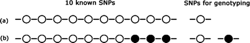Figure 2 LD and Tag SNPS. In (a), all 10 SNPs are in complete LD; genotyping one SNP will, therefore, provide information about all 10. In (b), the unshaded SNPs are in complete LD with each other as are the shaded SNPs. In this case, genotyping one shaded and one unshaded will provide information about all 10 sites.
