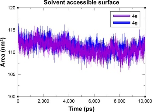 Figure 10 SASA graphs of 4e and 4g docked complexes are shown in purple and blue respectively from 0–10,000 ps time scale.