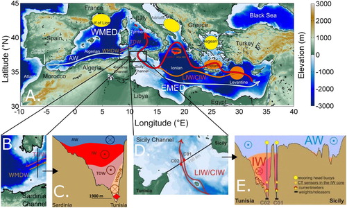 Figure 2.6.1. (A) The Mediterranean Sea where deep (yellowish ellipses) and intermediate (reddish ellipses) water formation sites are highlighted as well as the circulation schemes for the Atlantic Water (AW, light blue arrow) and the LIW/CIW (red arrow), the black rectangles indicate the monitored areas; (B) zoom on the Sardinia Channel where the position of the deep mooring is shown (red diamond), that allows to intercept the eastward flowing WMDW (light brown arrow); (C) vertical schematic section of the transect between Sardinia and Tunisia, showing the four-layers system of water masses flowing in opposite directions (AW in blue flowing eastward, IW in red flowing westward, TDW in dark pink flowing westward, WMDW in light brown flowing eastward); (D) zoom on the Sicily Channel where the positions of the two moorings are shown (red diamonds), that allows to intercept the westward flowing IW (red arrows); (E) the vertical schematic section of the transect between Tunisia and Sicily, showing the two-layer system of water masses flowing in opposite directions (AW in light blue flowing eastward; IW in orange flowing westward, where the darker orange indicates higher salinity, the salinity maximum identifying the core of the IW) and the positions of instruments along the C01 and C02 lines located in two parallel deep trenches.