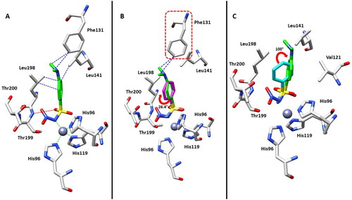 Figure 2. (A) Active site region of the 4-hCA II complex (PDB: 8BZZ). Hydrogen bonds (red), van der Waals interactions (blue), and zinc interactions (green) are also shown. (B) Structural superposition between 4-hCA II (green) and 2-hCA II (magenta, PDB: 3T5U)Citation17 bound to the active site of protein. (C) Structural superposition between 4-hCA II (green) and 1-hCA II (cyan, PDB: 2WEJ)Citation21 bound to the active site of protein.