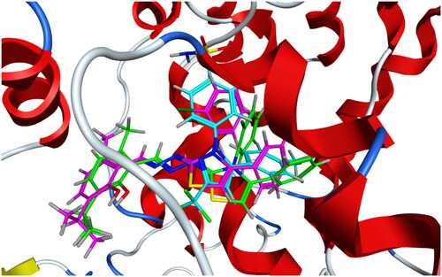 Figure 8. Overlay of 6b (green), 6f (magenta), and celecoxib (cyan) inside COX-2 active site.