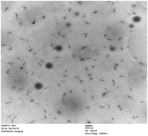 Figure 4. Transmission electron microphotographs of IDE lipid-based nanostructured carriers.