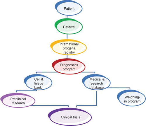 Figure 3. The PRF programs flow chart, demonstrating integration toward treatment discovery.