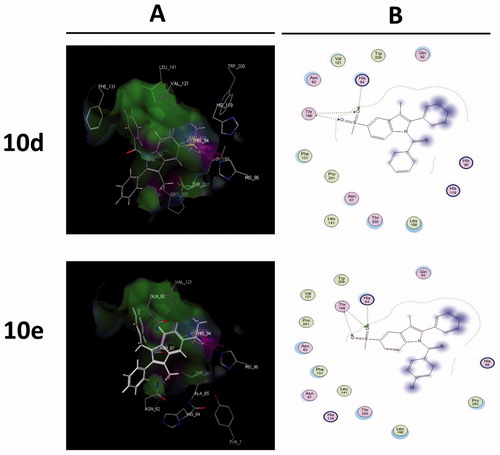 Figure 4. Binding of the most active compounds 10d and e inside COX-2 active site. (A) The proposed binding mode inside the active site of COX-2 resulting from docking, the most important amino acids are shown together with their respective numbers. (B) 2D interaction.