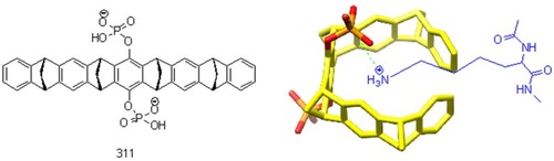 Figure 15 Lys-specific molecular tweezer CLR01 interacts with Lys by forming a salt bridge.
