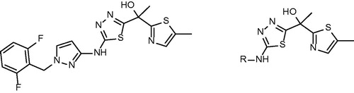 Figure 16. Methyl-thiazole lead sructure and its derivatives published by Shirude et al.
