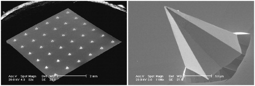 Figure 7. Representative SEM images of platinum thin film-coated silicon MA with 36 pyramidal 180 or 280 μm length MAs. The left image shows a complete MA with 280 μm length microneedles, and the right image is a single-magnified 180-μm microneedle. Reprinted with permission from Resik et al. (Citation2013).