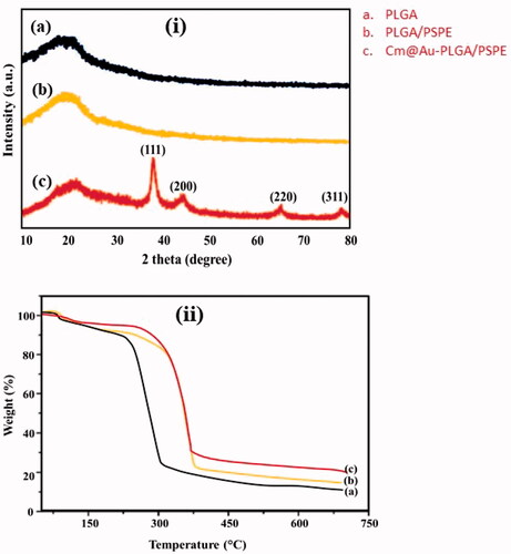 Figure 1. (i) XRD analysis of carmustine (Cm) gold co-loaded with PLGA-PSPE nanocomposites and (ii) Thermogravimetric analysis (TGA) of Cm-Au-PLGA-PSPE nanocomposites: (a) PLGA, (b) PLGA-PSPE and (c) Cm-Au-PLGA-PSPE.0.