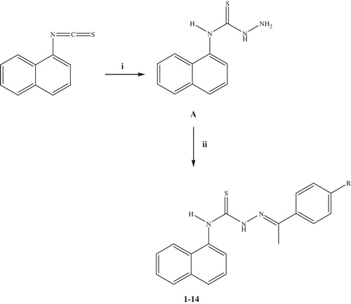 Scheme 1. The synthetic route for the preparation of the thiosemicarbazone derivatives (1–14). Reagents and conditions: (i) NH2NH2·H2O, ethanol, r.t., 4 h; (ii) ArCOCH3, ethanol, reflux, 8 h.