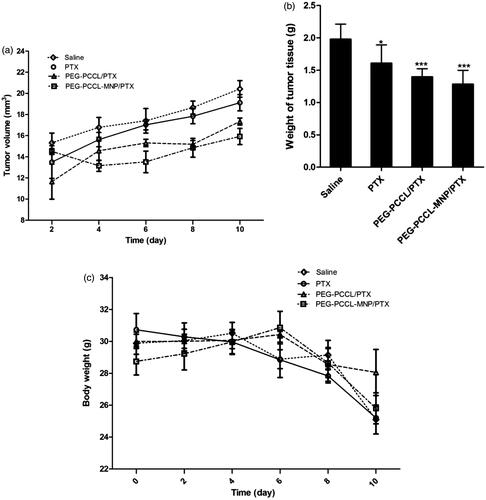 Figure 5. (A) The tumor growing curves for different treatment groups (n = 5). (B) The tumor weight of mice after treatments with different formulations (n = 5). Significant differences: *p < .05, ***p < .001, compared with the saline group. (C) The body weight of mice after treatments with different formulations (n = 5).