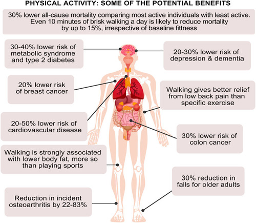 Figure 2 Health benefits of physical activity.