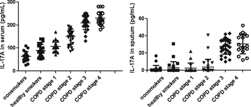Figure 1.  IL-17A in different groups. Data were presented as mean ± standard deviation (SD). The left picture shows The serum level of IL-17A in non-smokers was 63.73 ± 20.37 pg/mL. The serum level of IL-17A in healthy smokers was 89.26 ± 26.82 pg/mL. The serum level of IL-17A in COPD stage 1 was 107.20 ± 24.45 pg/mL. The serum level of IL-17A in COPD stage 2 was 150.30 ± 32.38 pg/mL. The serum level of IL-17A in COPD stage 3 was 208.80 ± 27.98 pg/mL. The serum level of IL-17A in COPD stage 4 was 229.20 ± 29.52 pg/mL. The serum levels of IL-17A increased gradually from non-smoker group to COPD stage 4 group (p < 0.05). The right picture shows Sputum IL-17A were similar in severe COPD (stage III and IV), which were higher than those in the other groups (p < 0.05).
