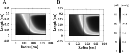 Figure 2 Oxygen concentration profiles generated by FEMLAB for experimentally derived parameters. Oxygen profile is shown for half of a channel width for (A) unsupplemented culture medium and (B) PFC-supplemented culture medium (5.4% v/v).