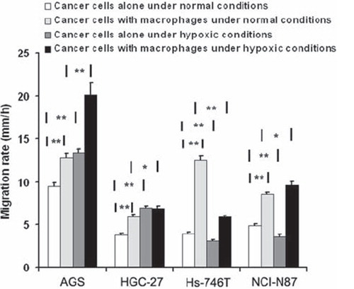 Figure 2. Effect of macrophages on the mobility of gastric cancer cells under normal and hypoxic conditions. The cells movement rates were accelerated due to macrophages in AGS, HGC-27, Hs-746T and NCI-N87 cell lines under normal condition. Hypoxia induced increase in migration rate in AGS and HGC cell lines, decrease in Hs-746T and NCI-N87 cell lines without macrophages. When the cancer cells with macrophages cultured together under hypoxia condition, the cells movement speeds were increased in AGS, HGC-27 and NCI-N87 cell line compared with normal condition with macrophages, but decreased in Hs-746T cell line.*P < 0.05; **P < 0.001.(N = 3).