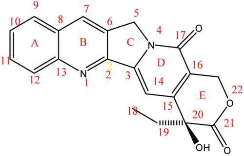 Figure 3.  Camptothecin (8).