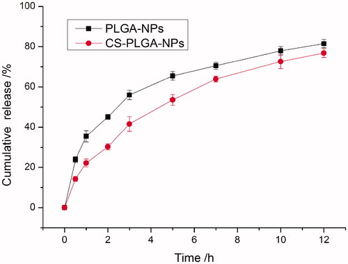 Figure 3. Drug release from PLGA-NPs and CS-PLGA-NPs in vitro (mean ± SD, n = 3).