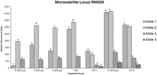 Figure 6 Densitometric measurements of alleles-band intensity for the microsatellite locus R95529 in adult worms treated with 100 µL/mL PSO (100% PSO), 40 µL/mL PSO (40% PSO), 20 µL/mL PSO (20% PSO), praziquantel (PZQ), untreated adult (NT-A) schistosomula treated with 100 µL/mL PSO (S100% PSO), and schistosomula untreated control (NT-S). Letters a–d refer to significant differences (p<0.05) in comparison to the control of each tested maturation (adult schistosomula) group.
