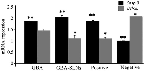 Figure 10. Differential expression levels of Casp 9 and Bcl-xL genes in plain GBA, GBA-SLNs, and doxorubicin (as positive control). * and ** represent significant differences (p < 0.05).