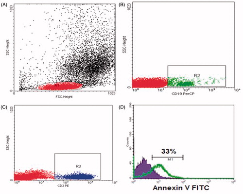 Figure 2. Flow cytometric detection of apoptosis of B and T lymphocytes: (A) Forward and side scatter histogram was used to define the lymphocyte population (R1). (B and C) CD19+ B cells and CD3+ T cells were gated. (D) Annexin V expression on lymphocyte populations. The positivity was defined as fluorescence (grey (green) histogram) higher than that of the isotype control (black (blue) histogram).