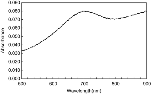Figure 2. The absorbance curve of the coloring solution between 500 and 900 nm.