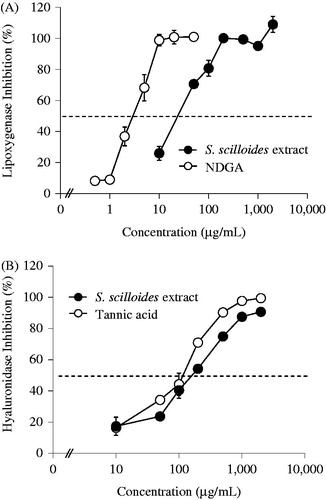 Figure 2. Effect of concentration of S. scilloides extract in lipoxygenase (A) and hyaluronidase assays (B). Data shown represent mean ± S.D. from four experiments. NDGA in (A) and tannic acid in (B) were used as the standard sample.