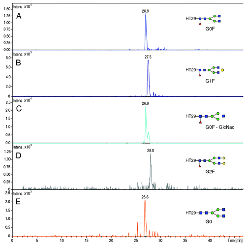 Figure 6. Extracted Ion Electropherogram of m/z ratios (A) 1039.80 (HT29 + G0F), (B) 1093.78 (HT29 + G1F), (C) 972.09 (HT29 + G0), (D) 1147.82 (HT29 + G2F), (E) 991.10 (HT29 + G0). Experimental conditions: see Material and Methods.