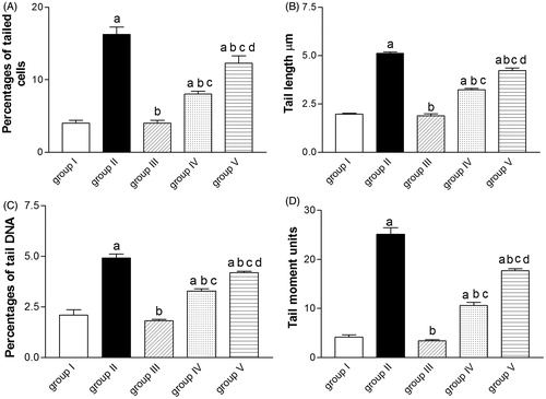 Figure 2. Effect of artichoke leaf extract (ALE) on paracetamol-induced DNA damage assessed by the comet assay in rats livers. Group I: treated with vehicle; group II: treated with saline + 10% Tween 80 orally for 14 d followed by paracetamol (2 g/kg, orally); group III: treated with 1.5 g/kg of ALE orally for 14 d; group IV: treated with 1.5 g/kg of ALE orally for 14 d followed by paracetamol (2 g/kg, orally); group V: treated with 100 mg/kg of N-acetylcysteine (NAC) orally for 14 d followed by paracetamol (2 g/kg, orally). Results are expressed as the mean ± SEM (n = 6) in each group. (a) Significantly different from group I at p < 0.05. (b) Significantly different from group II at p < 0.05. (c) Significantly different from group III at p < 0.05. (d) Significantly different from group IV at p < 0.01.