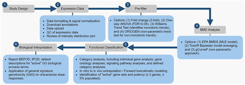 Figure 2. A general work flow demonstrating the use of BMDExpress for genomic dose response analysis. The steps include study design, expression data (data quality control), pre-filtering for dose-response behavior, BMD analysis (selection, parameterization, and characterization of BMD), functional classification (pathway analysis), and biological interpretation (tPOO determination). QC: quality control; ANOVA: analysis of variance; FOR: false discovery rate; ORIOGEN: Order-restricted inference for ordered gene expression; BMD: benchmark dose; EPA: environmental protection agency; BMDS: benchmark dose software; MLE: maximum likelihood estimation; BEPOO: biological effect point of departure (lowest BMD and BMDL of the ‘active’ gene sets); tPOO: transcriptomic point of departure; GO: gene ontology; GSG: general signature genotoxicity.