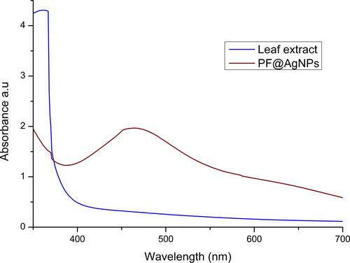Figure 2 UV-Vis analysis of P. frutescens leaf extract and PF@AgNPs. UV-Vis spectrum of PF@AgNPs showed surface plasmon resonance peak at 461 nm.